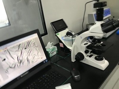 国产数码生物显微镜安装于河北大学